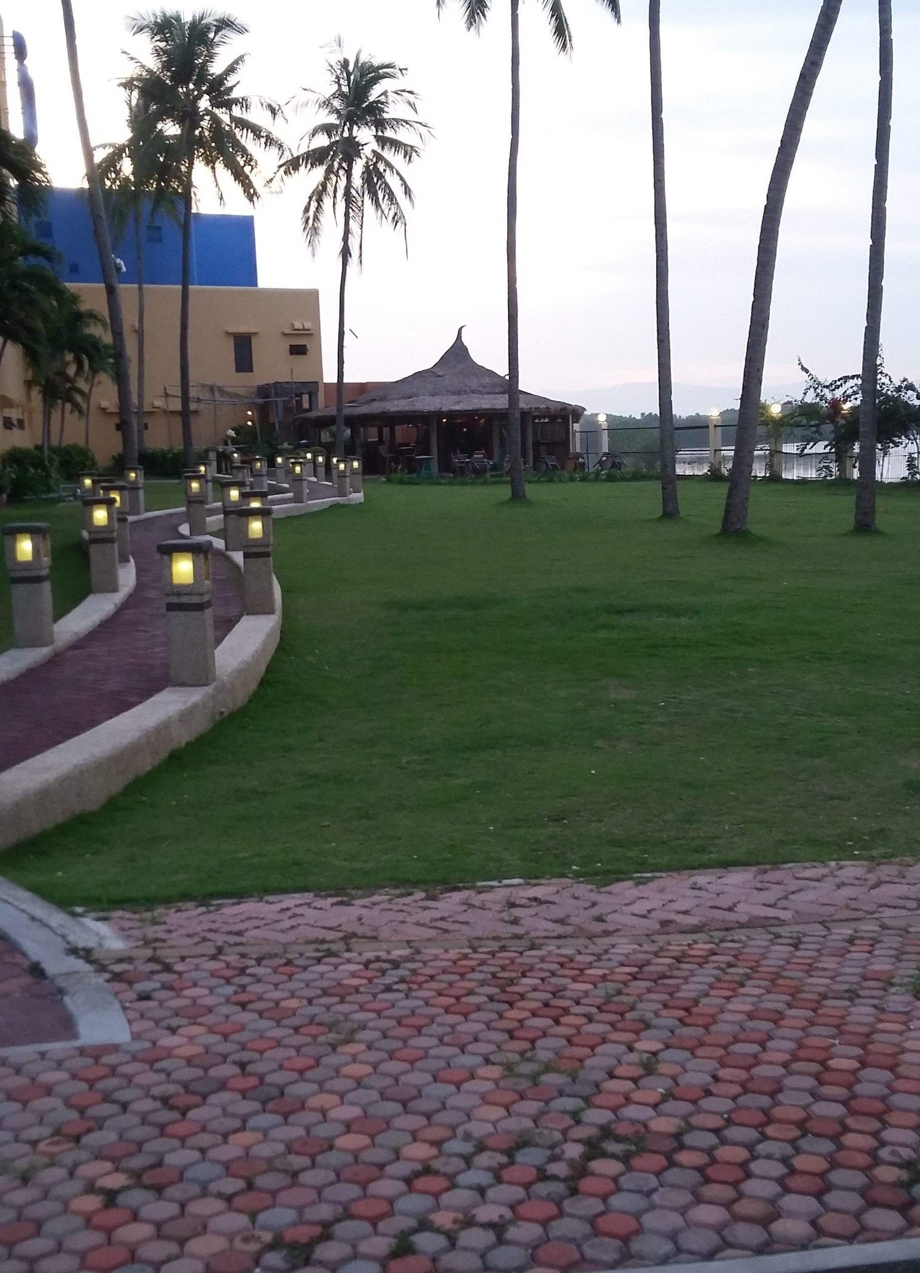 tikibar